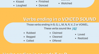 Learn the Regular Verbs with Langoo